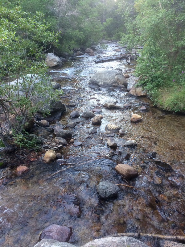 a flowing creek